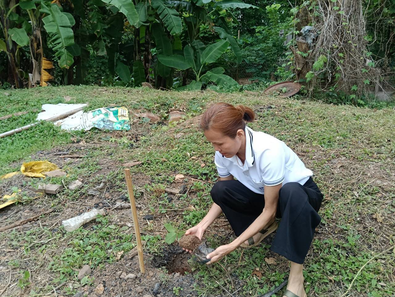 title - ส.ป.ก.แพร่ จัดโครงการ ปลูกเพื่อเปลี่ยน เปลี่ยนเพื่อยั่งยืน  เทิดไท้องค์ทศมราชา เพื่อเพิ่มพื้นที่สีเขียวในเขตปฏิรูปที่ดิน